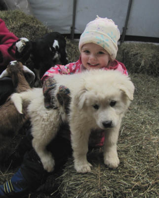 Pups and children