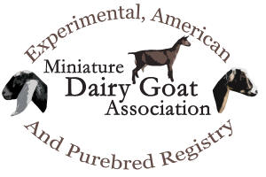 Miniature Dairy Goat Association